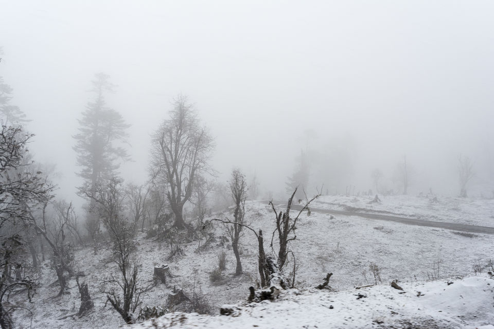 Photo of Bhutan- A land of discipline 7/9 by Shalu Gupta