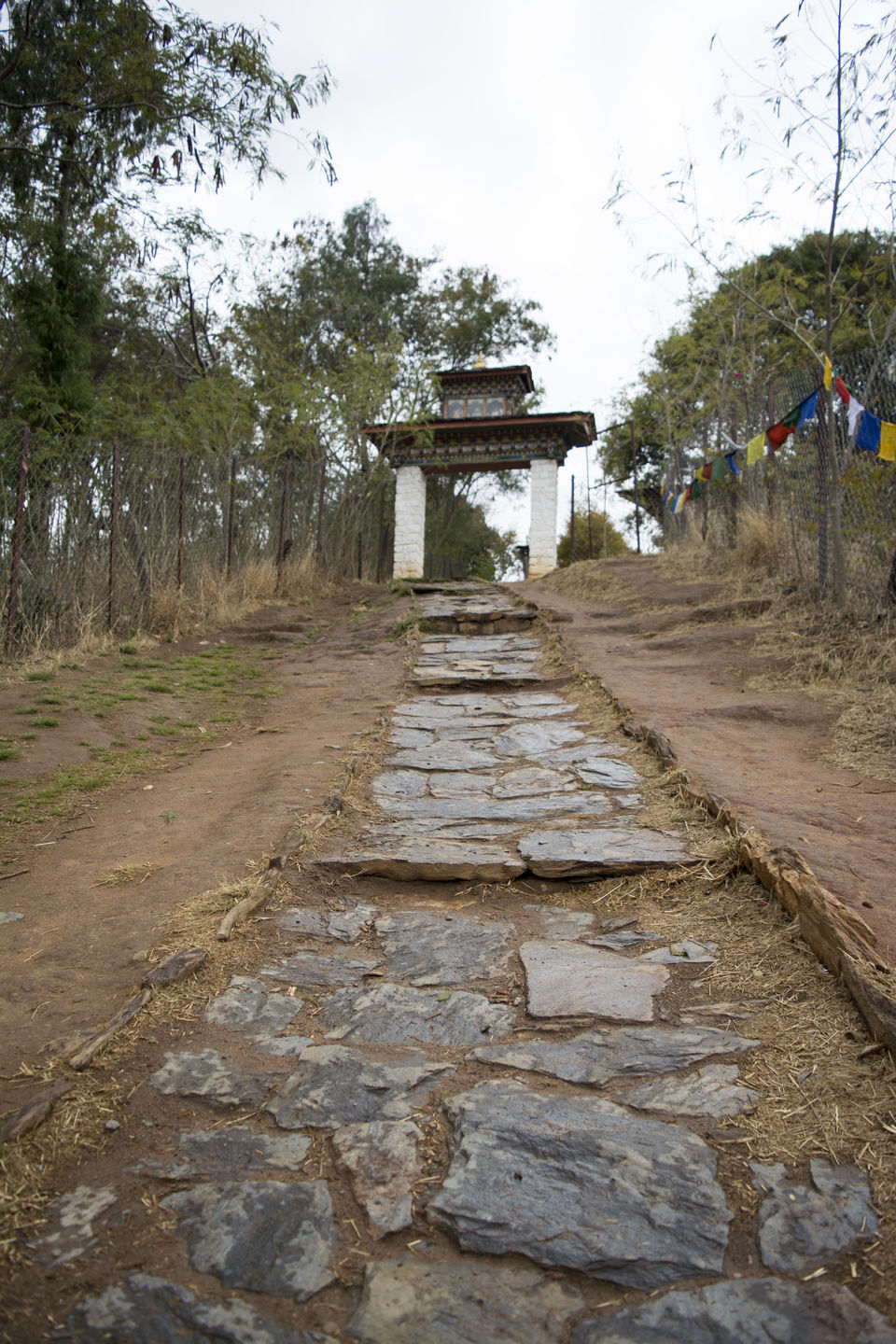 Photo of Bhutan- A land of discipline 9/9 by Shalu Gupta