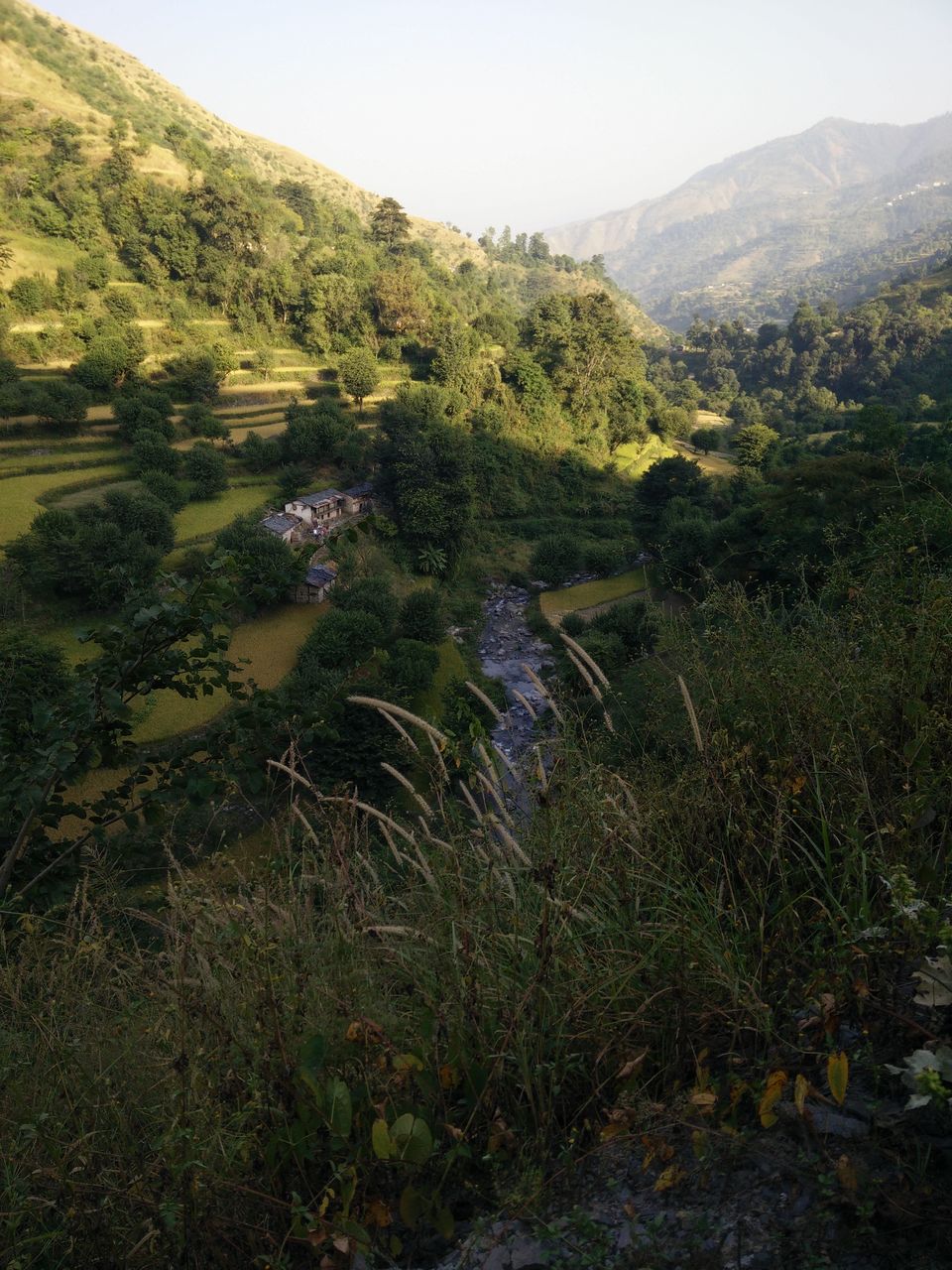 Photo of Chakrata – Most scenic place 5/15 by Prashant Tiwari