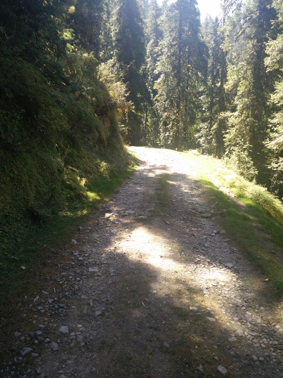 Photo of Chakrata – Most scenic place 8/15 by Prashant Tiwari