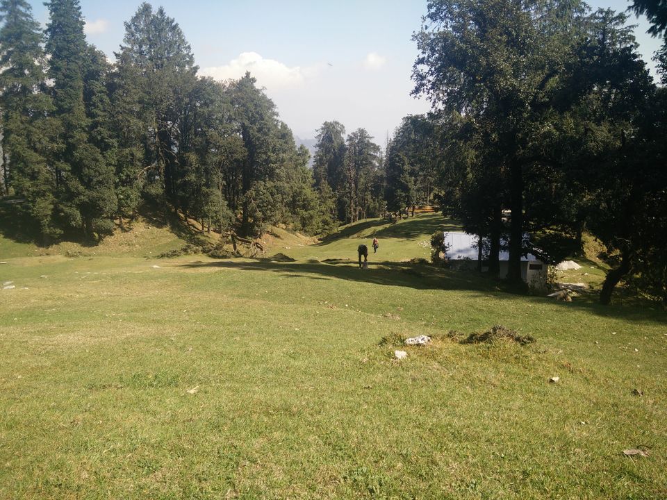 Photo of Chakrata – Most scenic place 9/15 by Prashant Tiwari