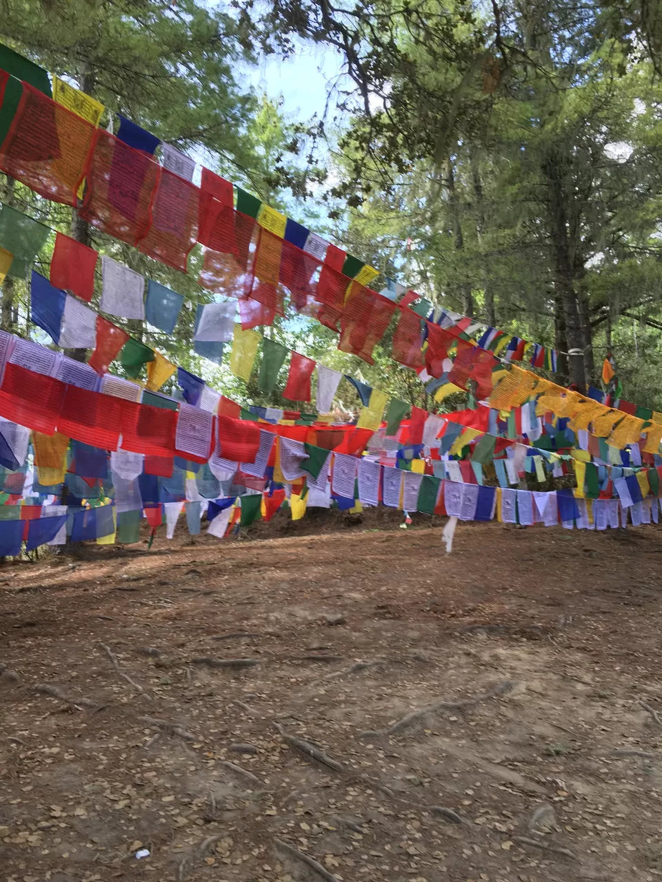 Photo of Paro, Bhutan by Mrinalini Majumdar