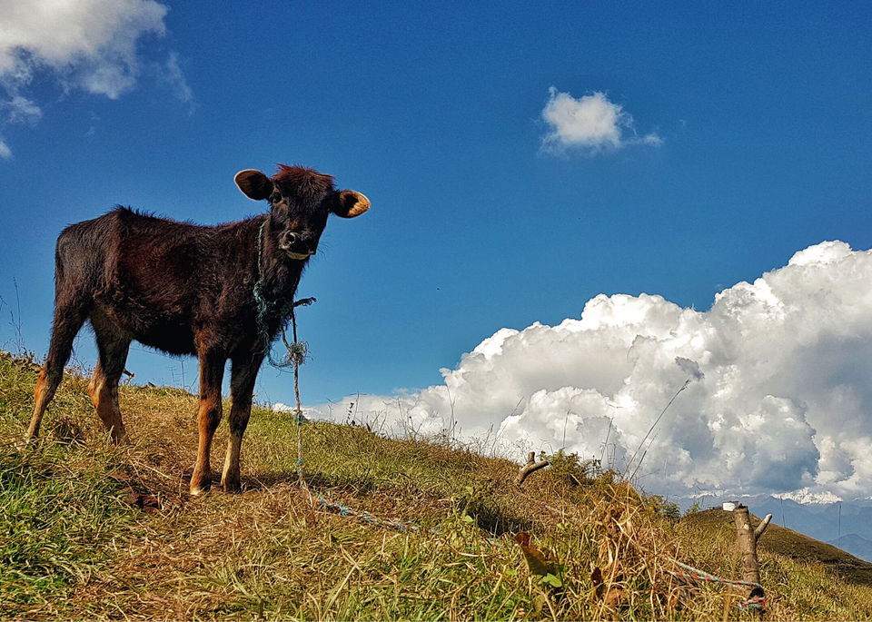 Photo of Parashar Lake, D.P.F. Parashar Dhar, Himachal Pradesh by Sid Gohil