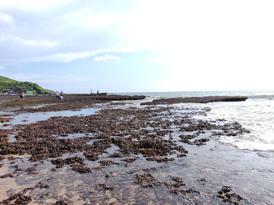 Photo of Anjuna Beach, Goa by Suhas Madnanth