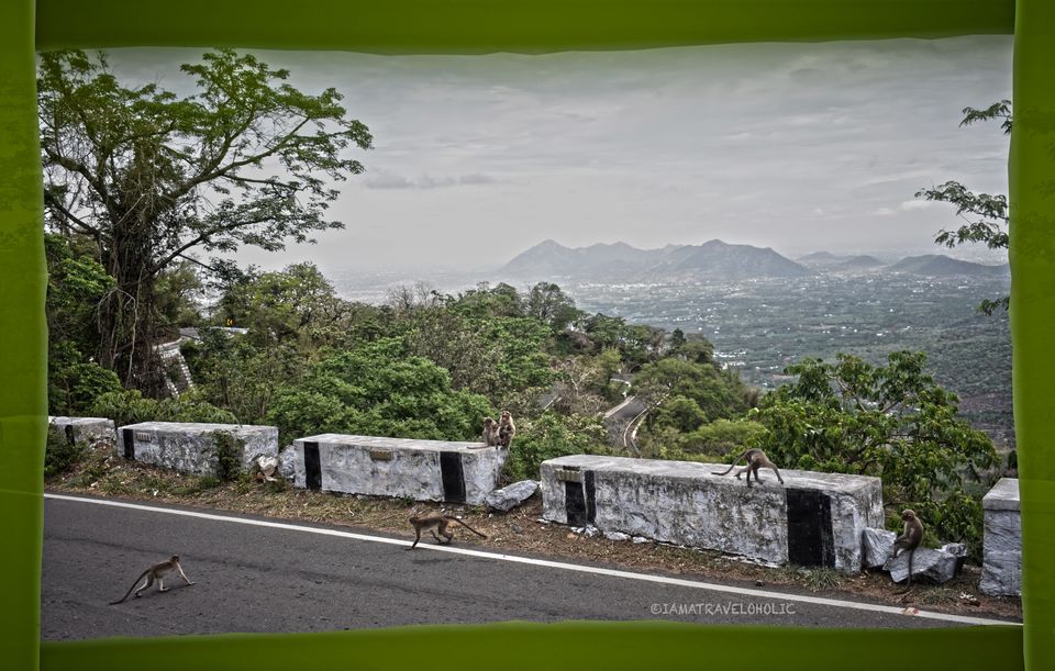 Photo of Ride to the 'Mountain of death'- Kolli Hills by Navaneeth Govind Baliga