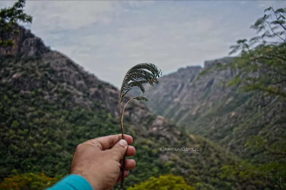 Photo of Ride to the 'Mountain of death'- Kolli Hills by Navaneeth Govind Baliga