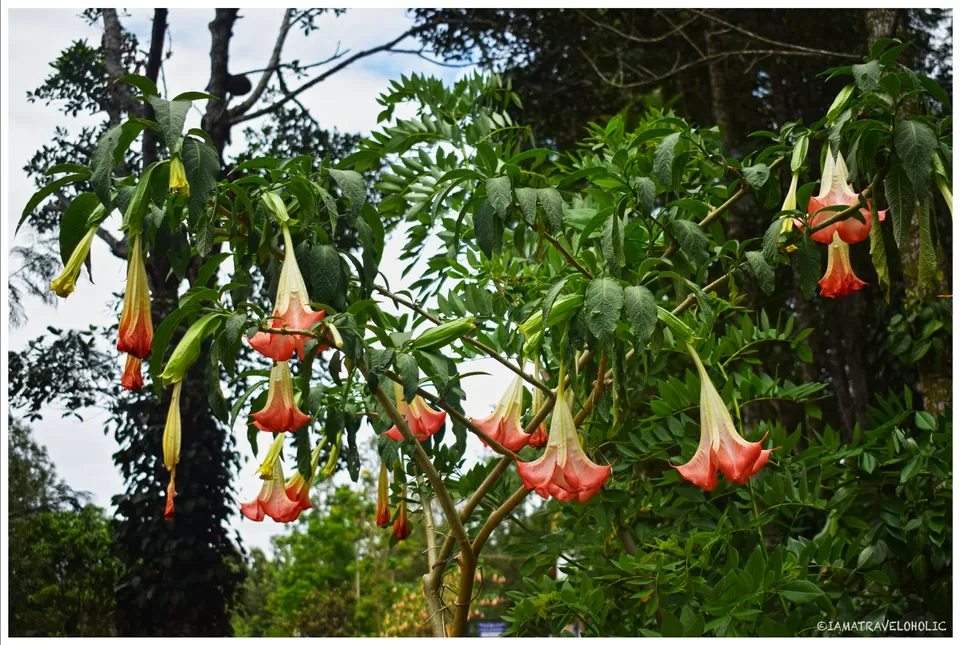 Photo of Ride to the 'Mountain of death'- Kolli Hills by Navaneeth Govind Baliga