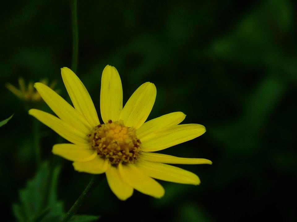 Photo of RATANGAD – Truly a Jewel 4/5 by Kush