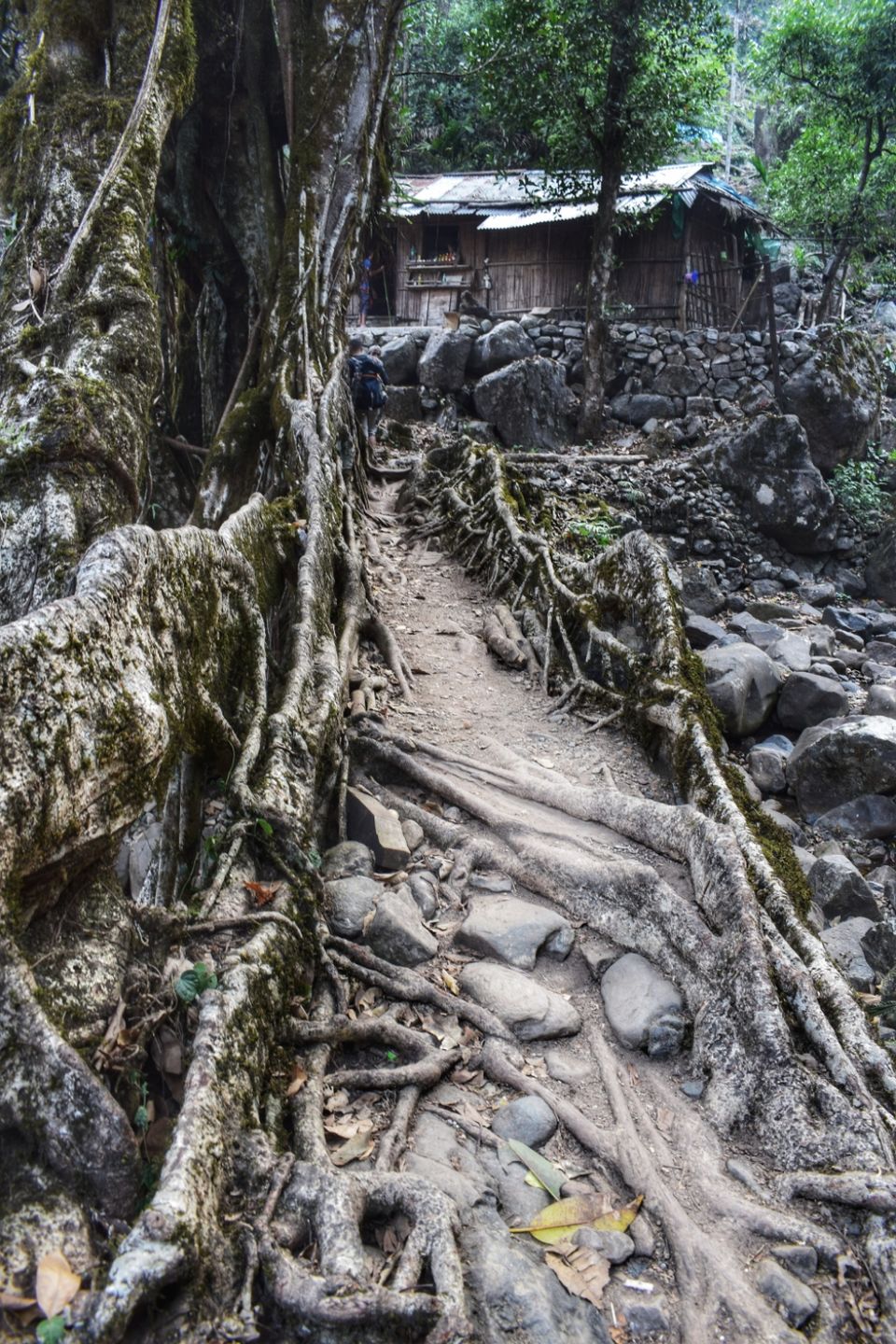 Photo of Meghalaya - The Abode Of Clouds by Rishabh Karnik