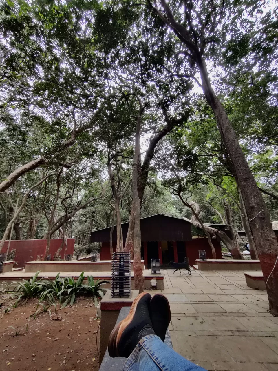 Photo of Matheran by Hinal Dwivedi