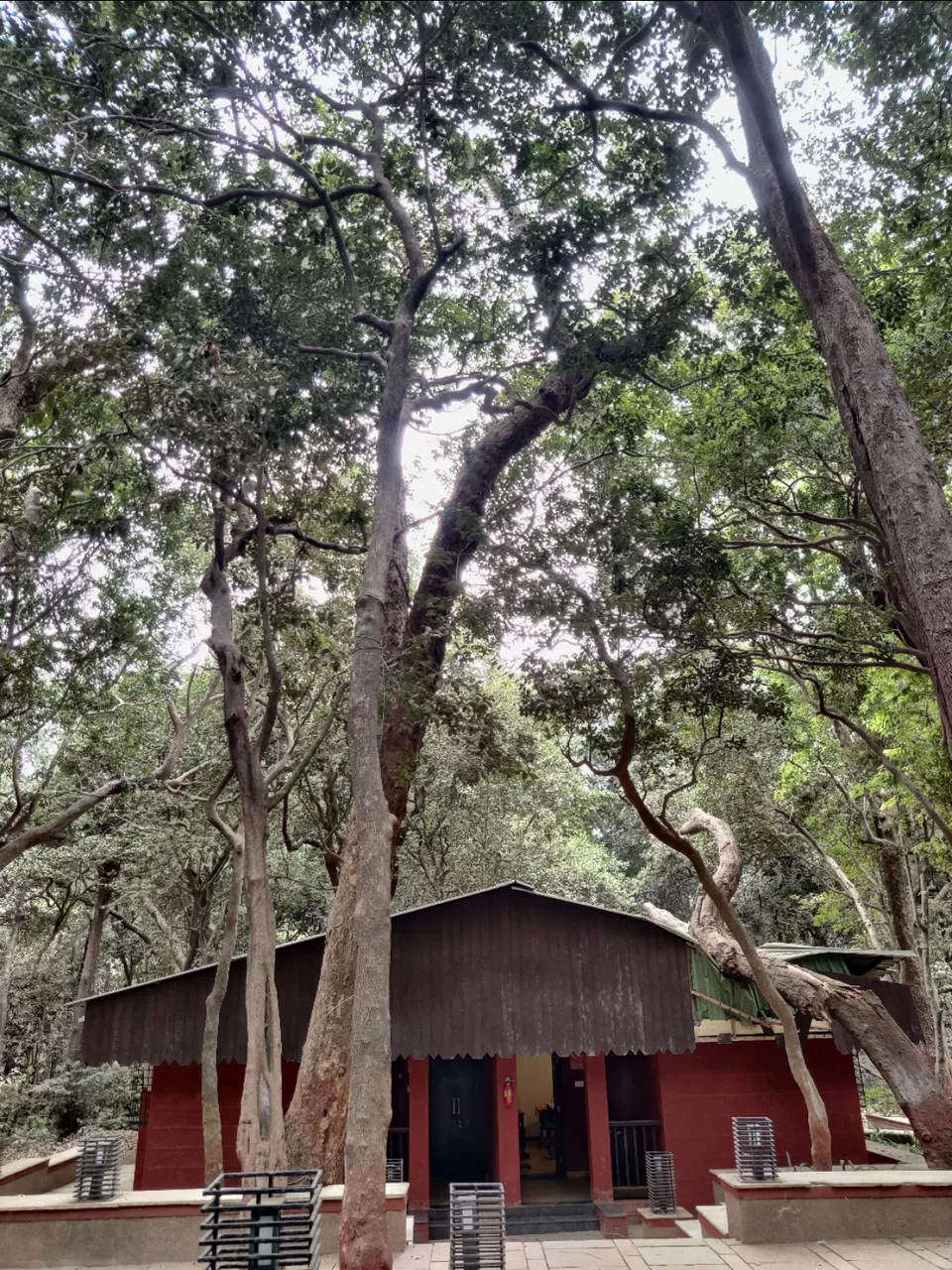 Photo of Matheran by Hinal Dwivedi