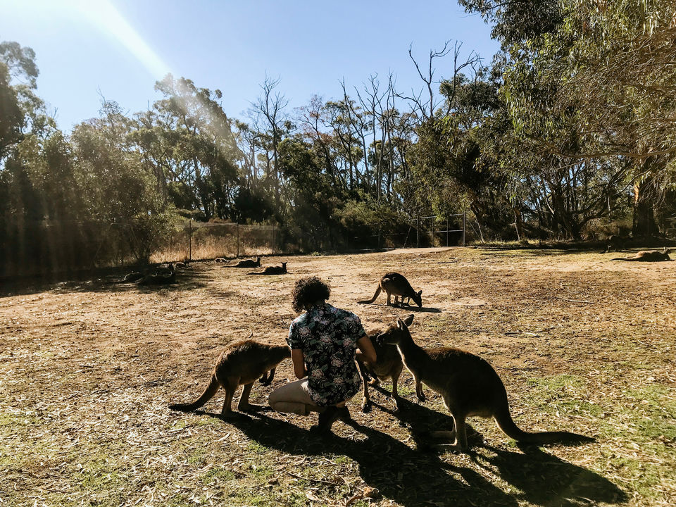 Photo of Wine with the Wild In Australia. by Siddhi & Varun (Settle Subtle)