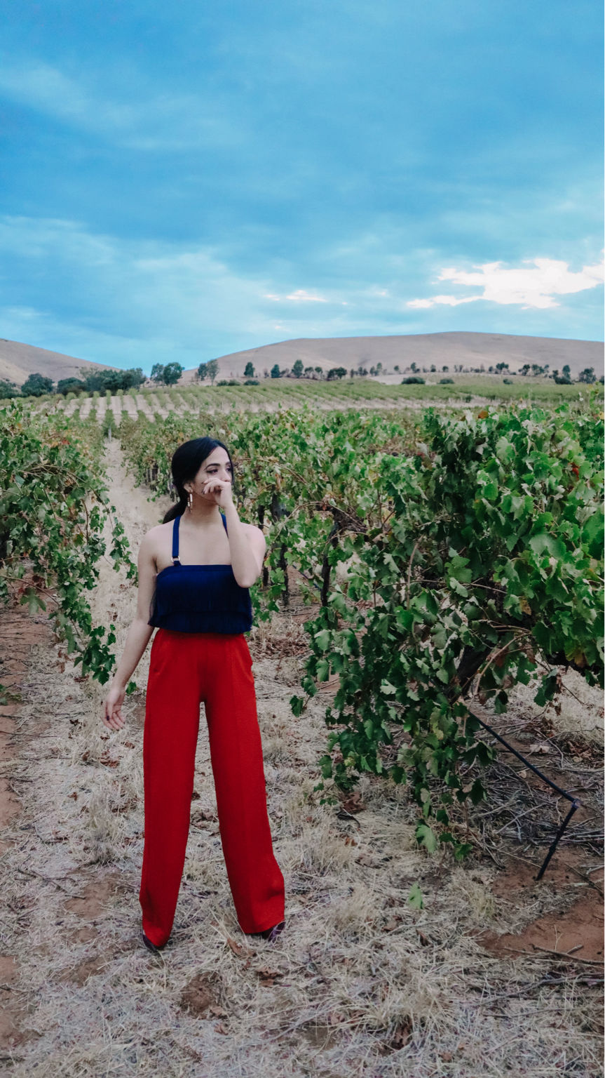 Photo of Wine with the Wild In Australia. by Siddhi & Varun (Settle Subtle)
