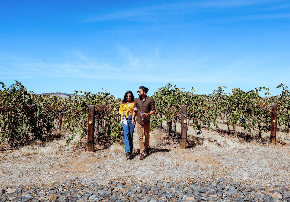 Photo of Wine with the Wild In Australia. by Siddhi & Varun (Settle Subtle)