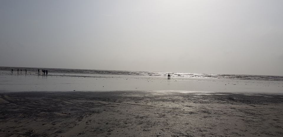 Photo of Hidden Gem : Vasai by sareenaa