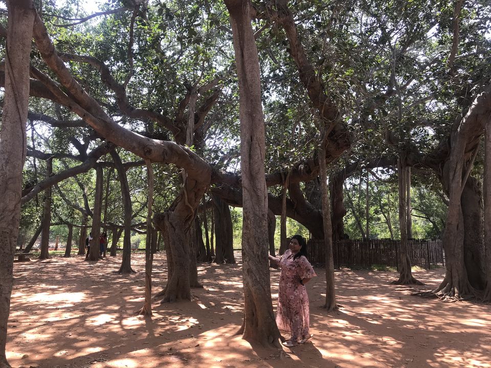 Photo of Matrimandir, Auroville, Bommayapalayam, Tamil Nadu, India by Escape Route: Travel And Food Blog By Saloni Aggarwal