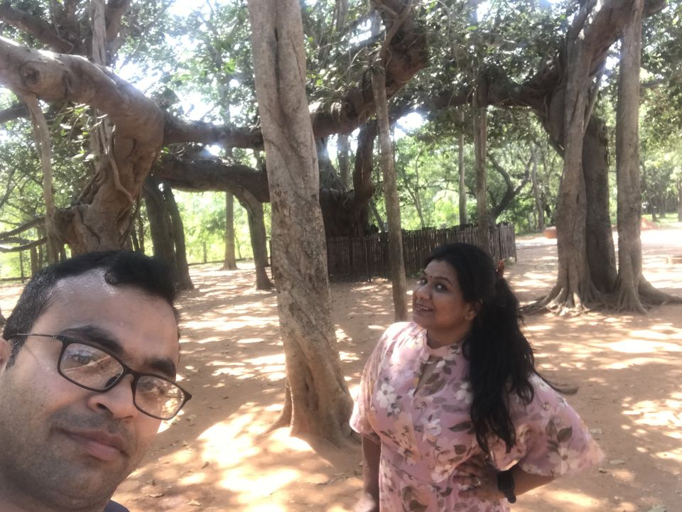 Photo of Matrimandir, Auroville, Bommayapalayam, Tamil Nadu, India by Escape Route: Travel And Food Blog By Saloni Aggarwal
