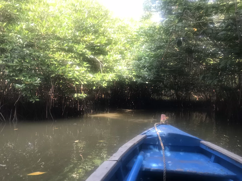 Photo of A day trip to second largest Mangrove Forest - Pichavaram by Escape Route: Travel And Food Blog By Saloni Aggarwal