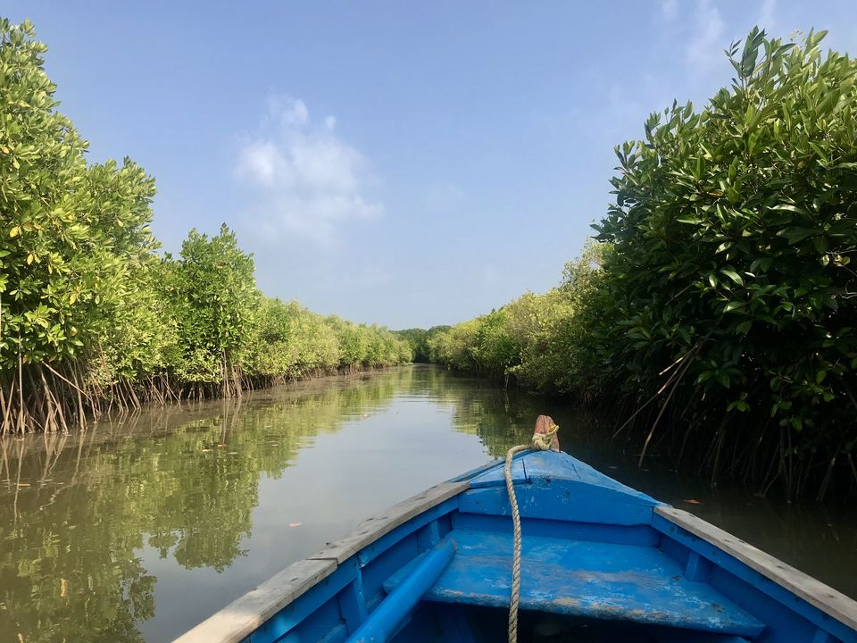 Photo of A day trip to second largest Mangrove Forest - Pichavaram by Escape Route: Travel And Food Blog By Saloni Aggarwal