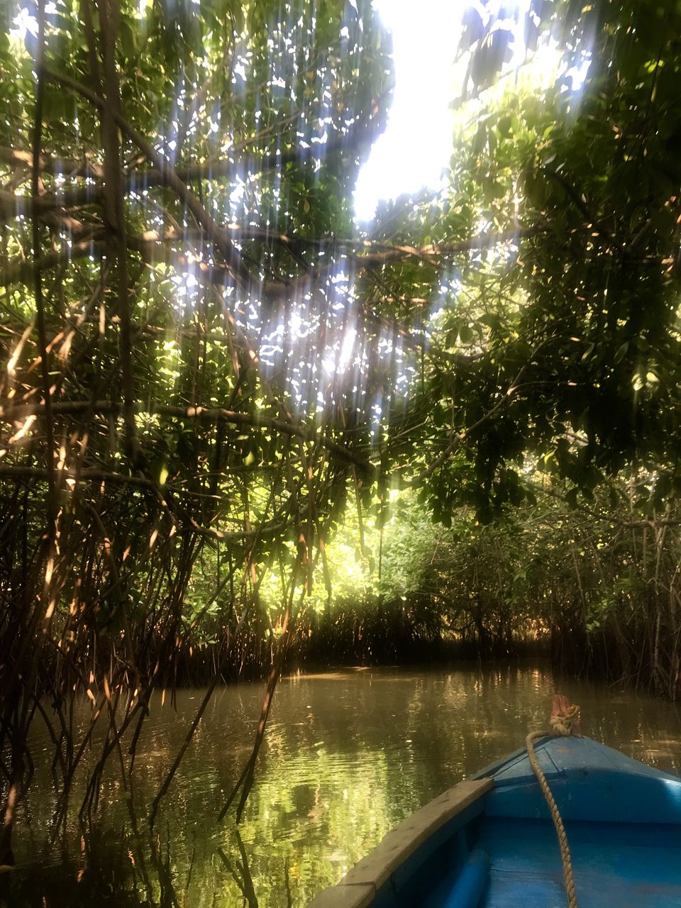 Photo of A day trip to second largest Mangrove Forest - Pichavaram by Escape Route: Travel And Food Blog By Saloni Aggarwal