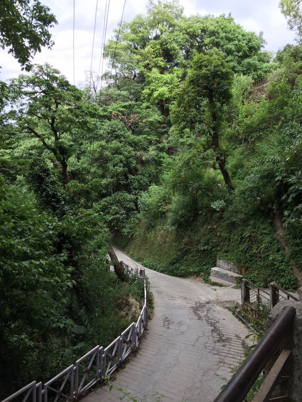 Photo of Mussoorie: Finding quiet trails during the summer frenzy by sumedha grover