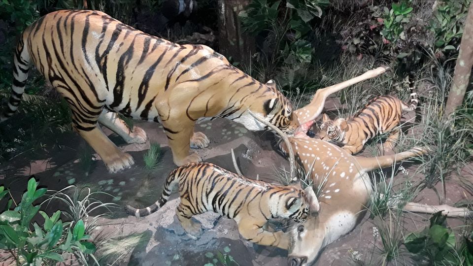 Photo of देश के दिल में बसा है पहाड, जंगल, झील, झरनों वाला नगर पंचमढी ... by Ravi Singh