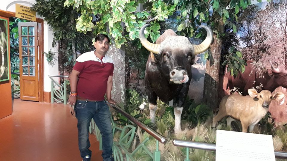 Photo of देश के दिल में बसा है पहाड, जंगल, झील, झरनों वाला नगर पंचमढी ... by Ravi Singh
