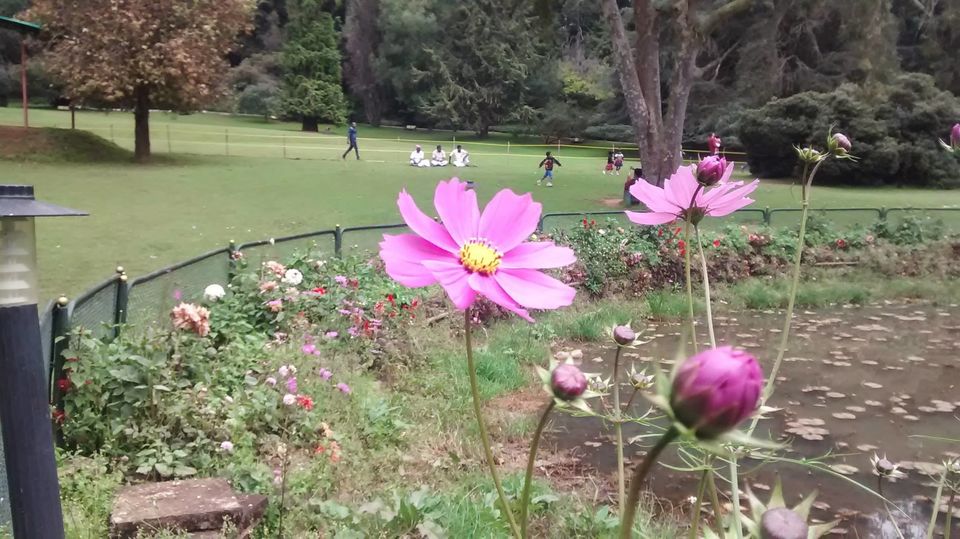 Photo of Ooty Trip :) 9/39 by Santhosh Kumar Gaikwad