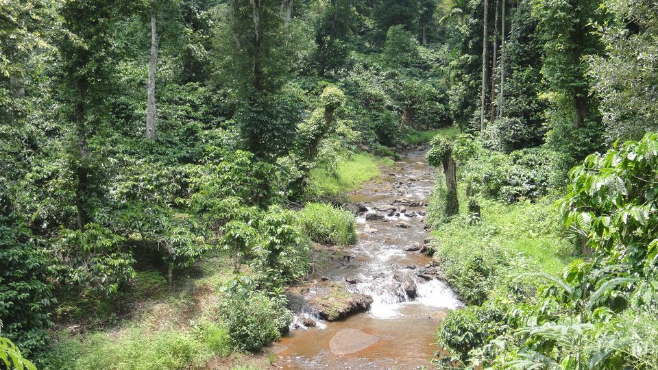 Photo of Chikmaglur, Karnataka – One state many country 11/22 by Santhosh Kumar Gaikwad