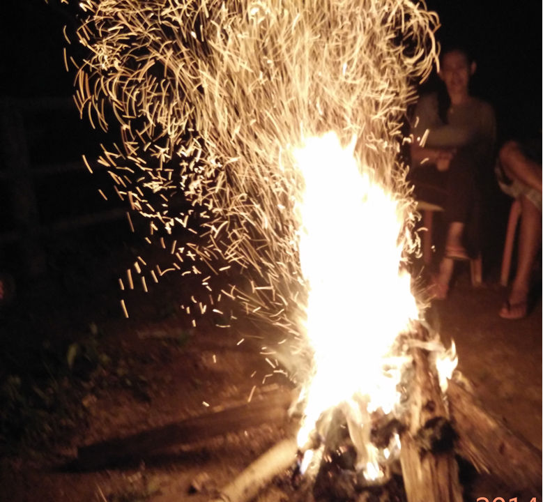 Photo of Bynekaadu - A perfect weekend from Bangalore 2/4 by The Tropical River