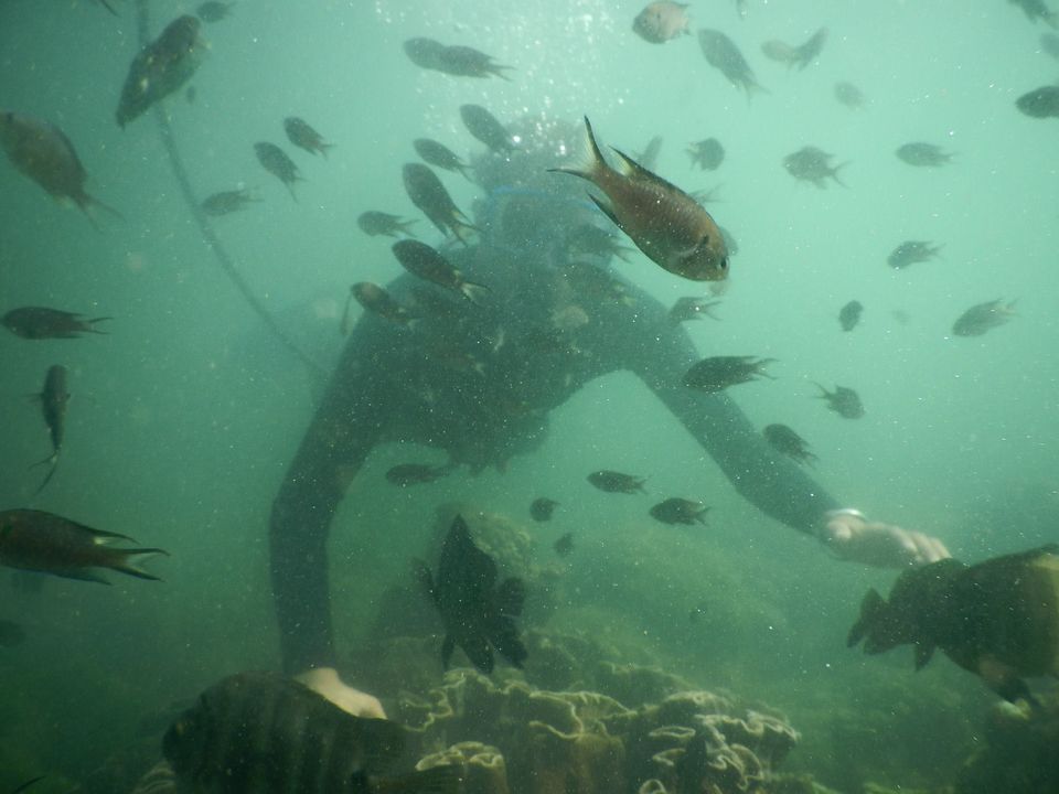 Photo of Scuba diving at Malvan 4/17 by The Tropical River