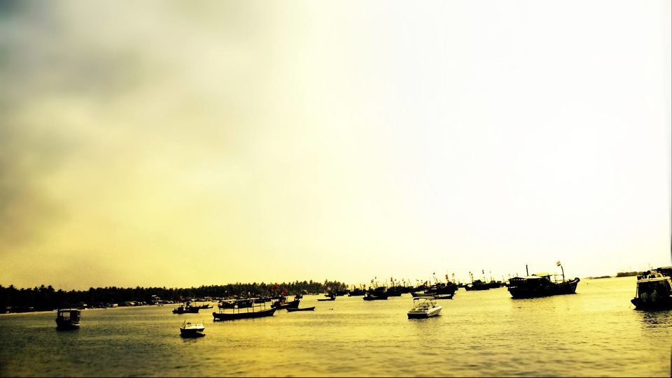Photo of Scuba diving at Malvan 3/17 by The Tropical River