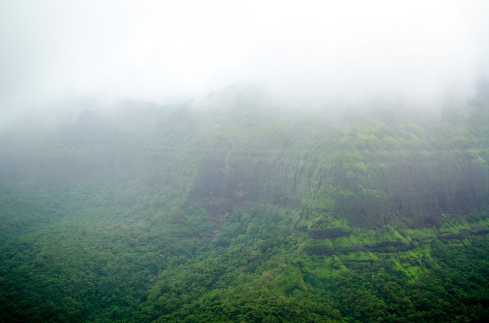Photo of When you go camping, carry more than just a book 1/6 by Satyan Chawla