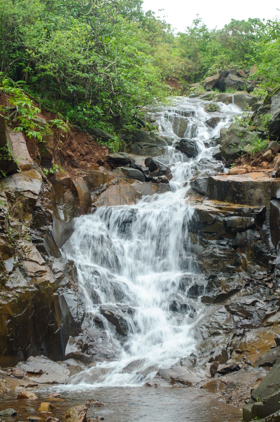 Photo of When you go camping, carry more than just a book 4/6 by Satyan Chawla
