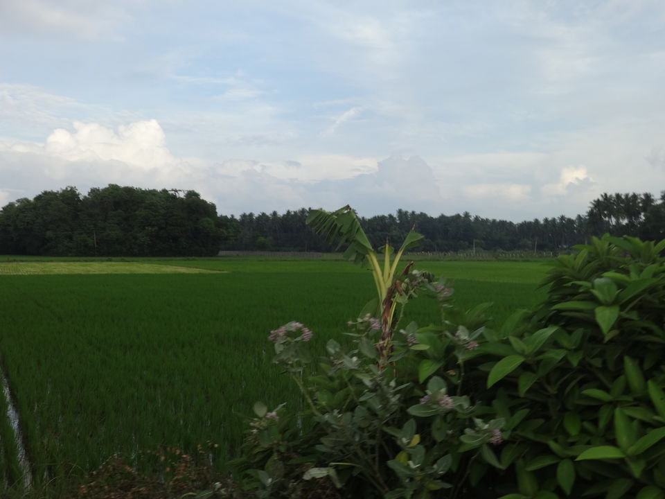 Photo of The beauty of countryside by Vyshalini S Kakarla