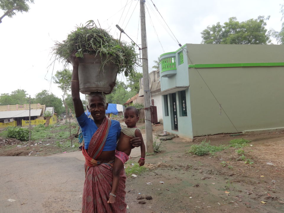 Photo of The incredible love of a grand-mother by Vyshalini S Kakarla
