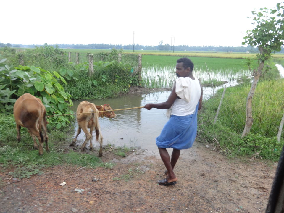 Photo of The beauty of countryside by Vyshalini S Kakarla