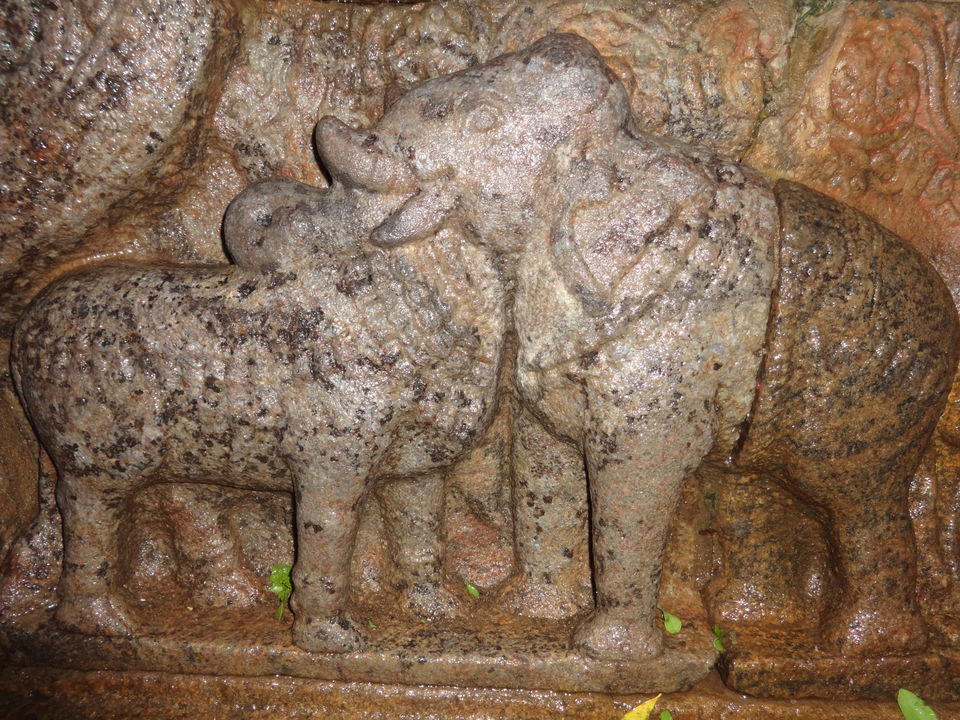 Photo of The conjoined heads of a Bull and an Elephant by Vyshalini S Kakarla