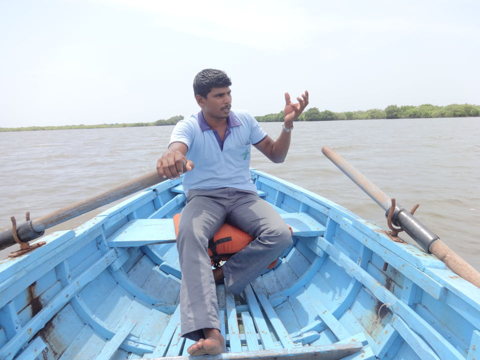 Solo Travel - Chidambaram and Pichavaram - Tripoto