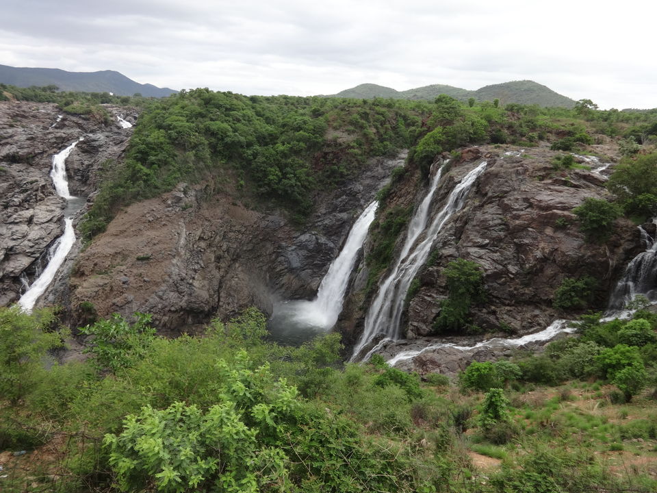 Photo of Sathegala- Beauty at its best! by Vyshalini S Kakarla