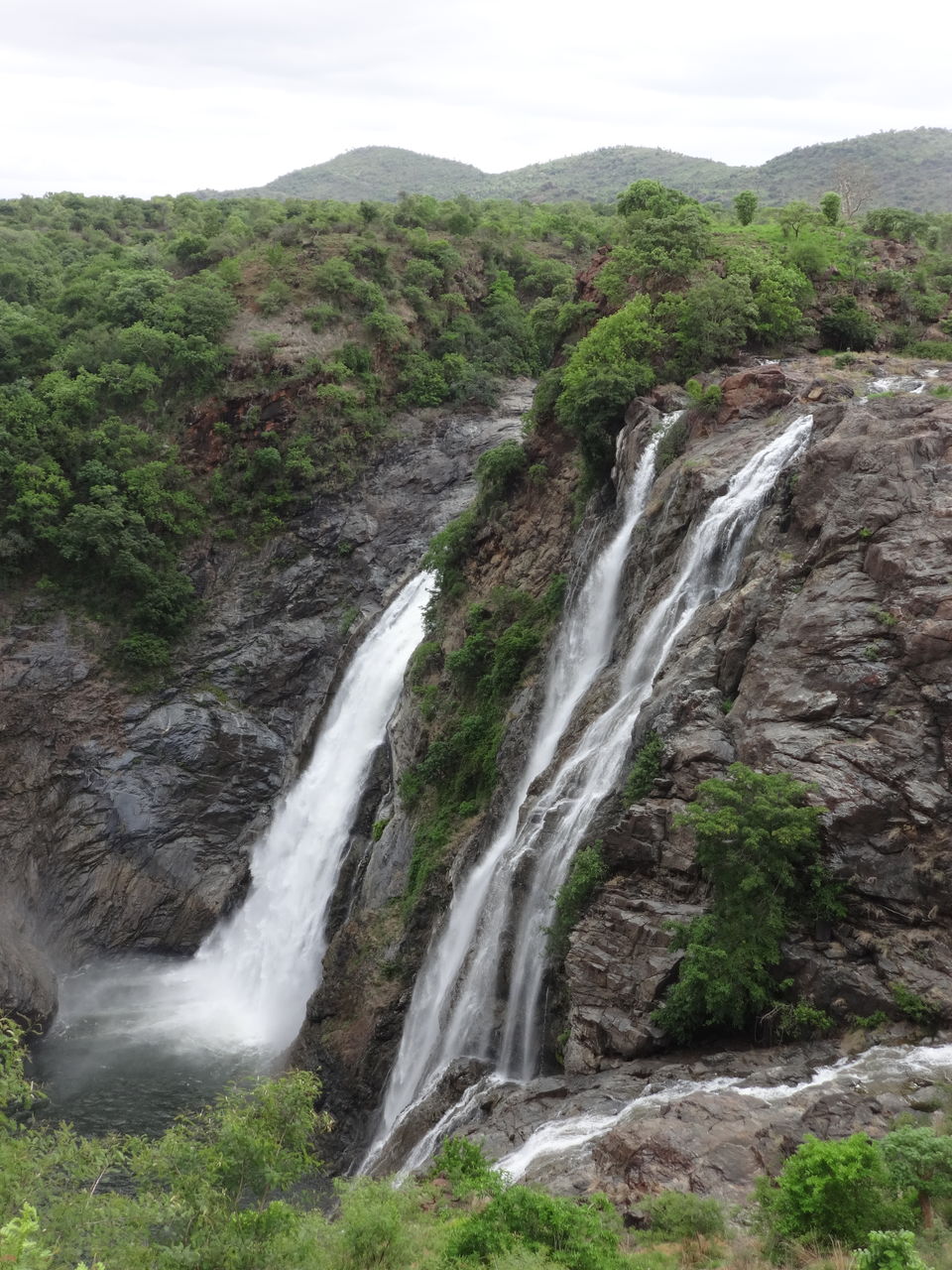 Photo of Sathegala- Beauty at its best! by Vyshalini S Kakarla