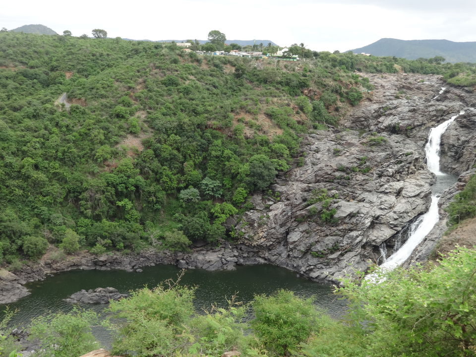 Photo of Sathegala- Beauty at its best! by Vyshalini S Kakarla