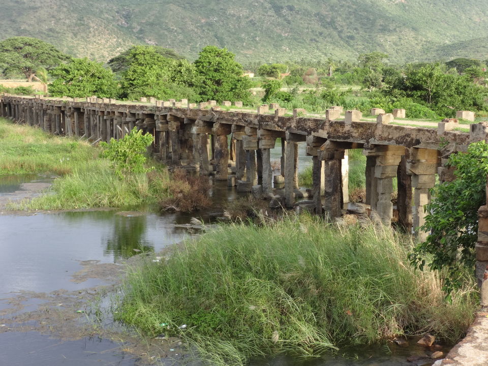 Photo of Sathegala- Beauty at its best! by Vyshalini S Kakarla