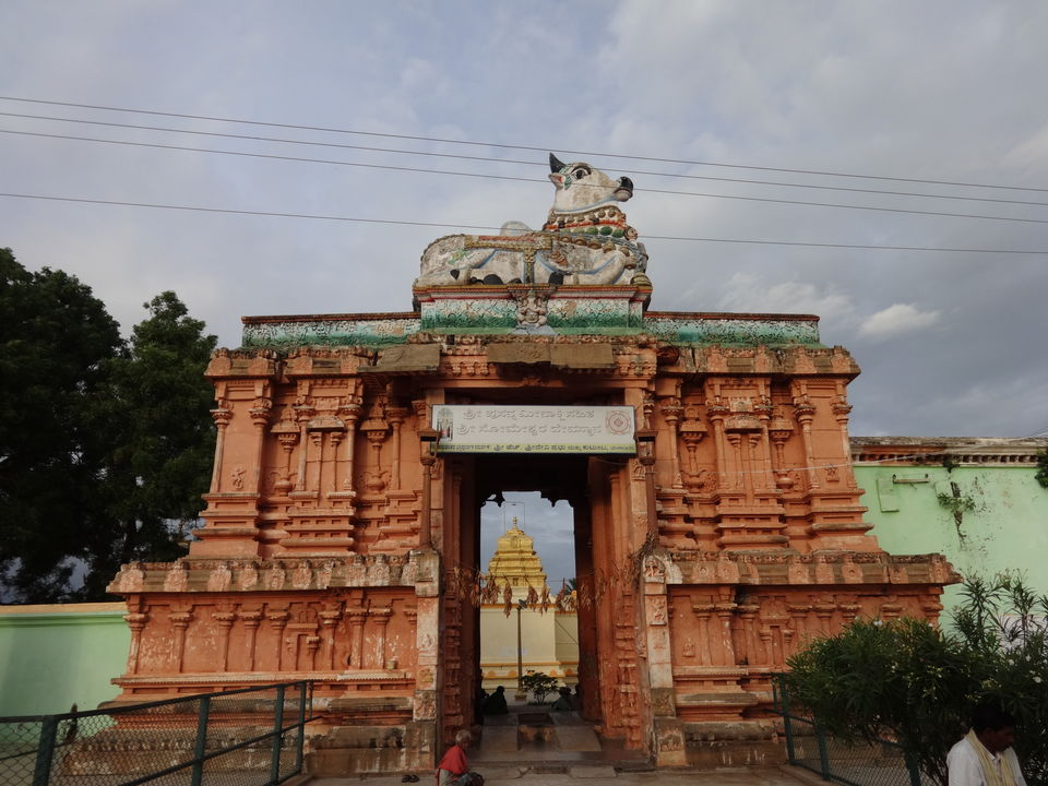 Photo of Sathegala- Beauty at its best! by Vyshalini S Kakarla