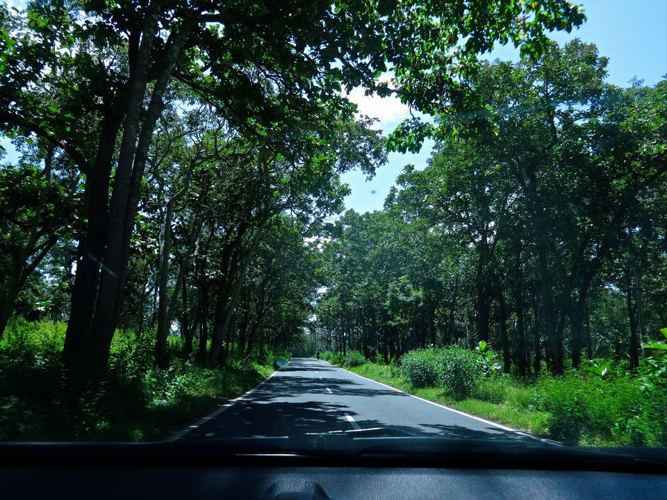 Photo of Long drive from Kollegal to Bandipur (NH 766) by Vyshalini S Kakarla