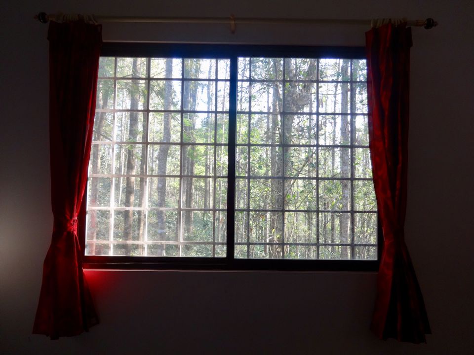 Photo of Solo Travel - Yercaud 8/88 by Vyshalini S Kakarla