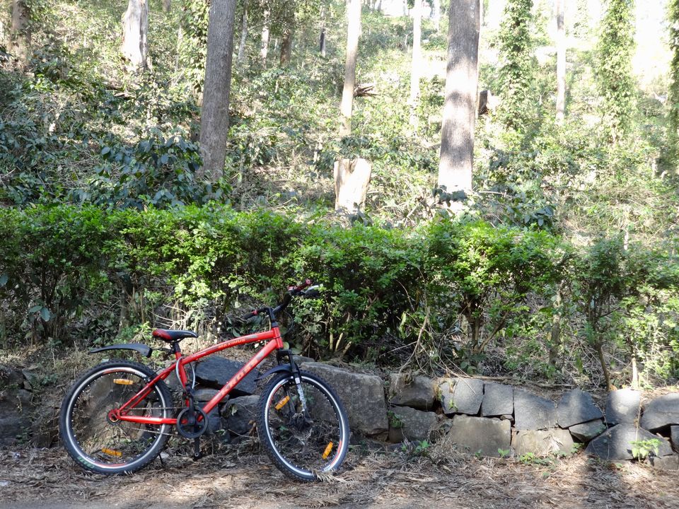 Photo of Solo Travel - Yercaud 13/88 by Vyshalini S Kakarla