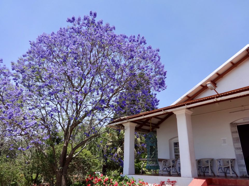 Photo of Solo Travel - Yercaud 17/88 by Vyshalini S Kakarla