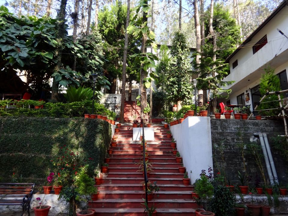 Photo of Solo Travel - Yercaud 10/88 by Vyshalini S Kakarla