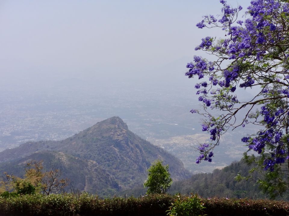 Photo of Solo Travel - Yercaud 21/88 by Vyshalini S Kakarla